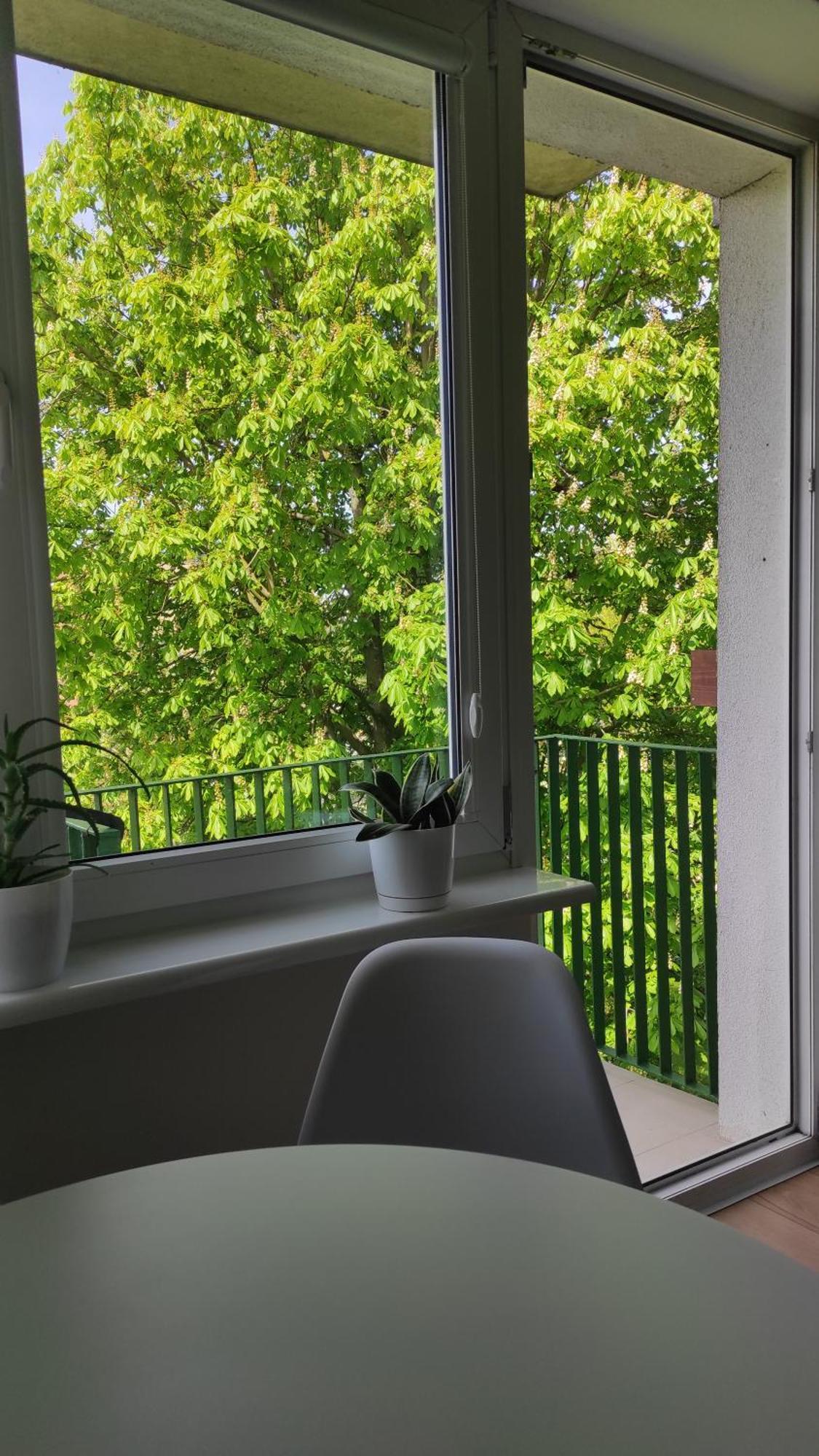 Apartament Mazury 케트르진 외부 사진